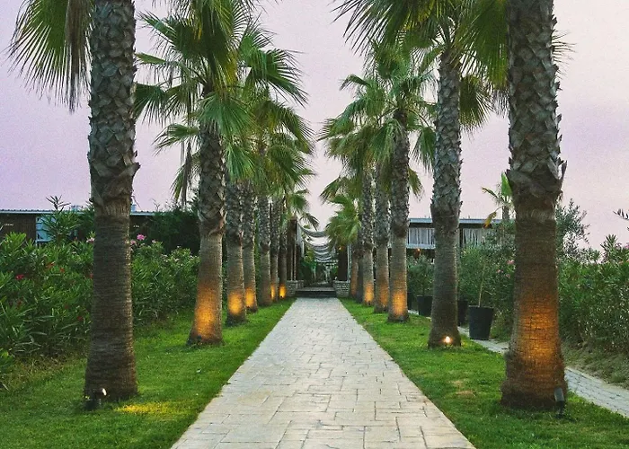 Lavender House * Durres